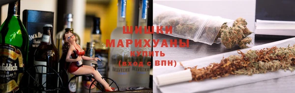 спайс Корсаков