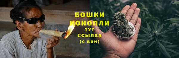 спайс Корсаков