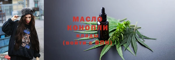 индика Козельск