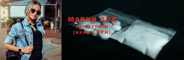 спайс Корсаков