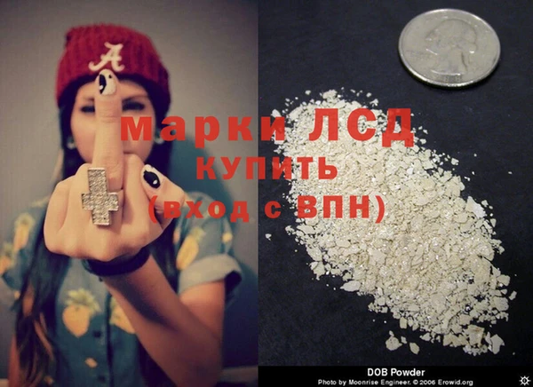 спайс Корсаков
