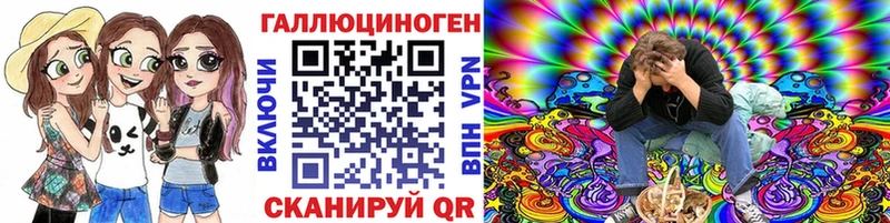 наркота  Холм  Галлюциногенные грибы GOLDEN TEACHER 